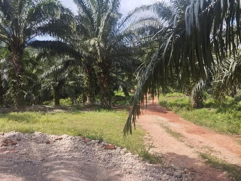 Tanah Pertanian untuk Dijual di Segamat (Johor) - Nadzmi Azilan - PropertyGuru.com.my