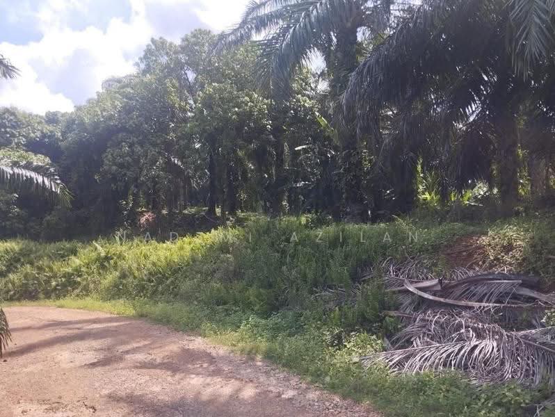 Tanah Pertanian untuk Dijual di Segamat (Johor) - Nadzmi Azilan - PropertyGuru.com.my