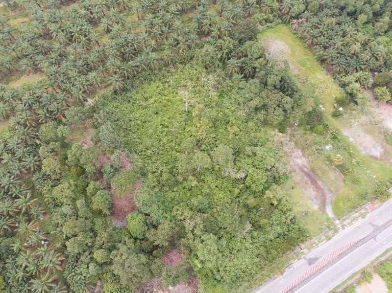 Agricultural Land for Sale in Kerian (Perak) - Davidz Loh - Exterior - PropertyGuru.com.my
