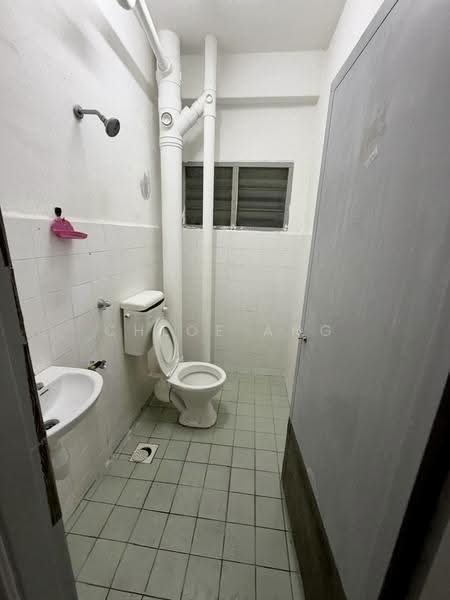Apartment for Sale at Taman Terubong Indah (Phase 2) - Chloe Ang - Bathroom - PropertyGuru.com.my