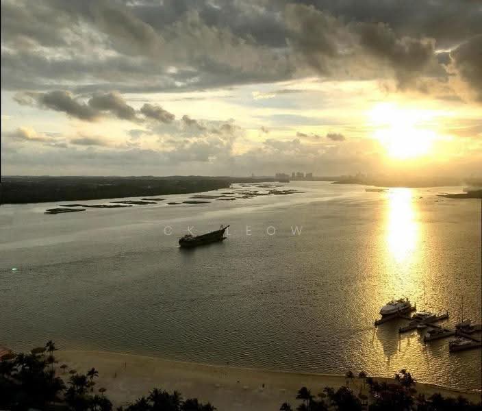 View