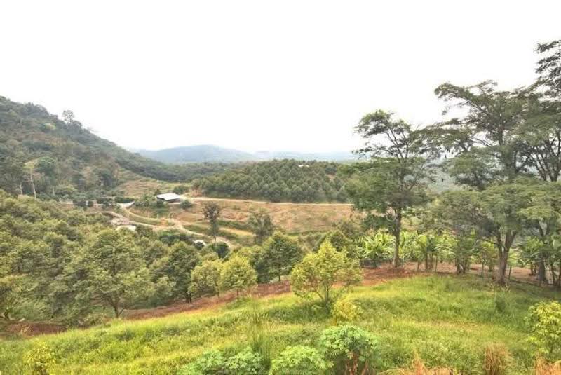 Agricultural Land for Sale in Telok Panglima Garang (Selangor) - Michelle Teoh - PropertyGuru.com.my