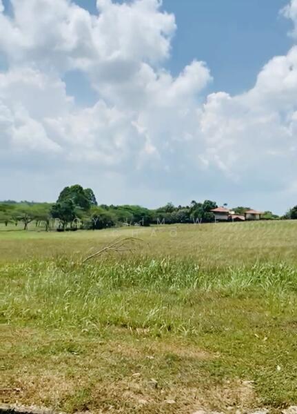 Residential Land for Sale in Leisure Farm (Gelang Patah) - Roy Lim Wei Chao - PropertyGuru.com.my