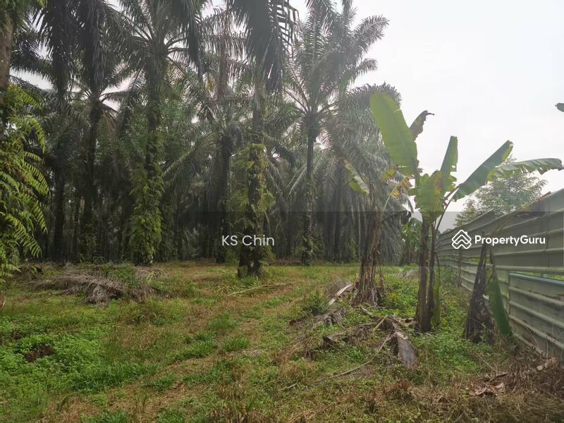 Tanah Pertanian untuk Dijual di Taman Senai Jaya (Senai) - KS Chin - PropertyGuru.com.my