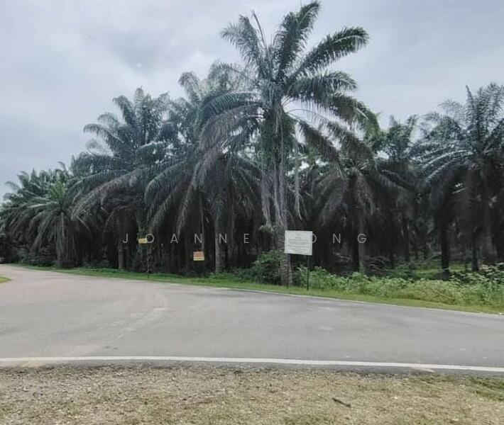 For Sale - 7.13 Acres Zoning Residential Land @ Taman Sri Kluang, Kluang, Johor