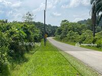 For Sale - Agriculture land at Kampung Juasseh Tengah