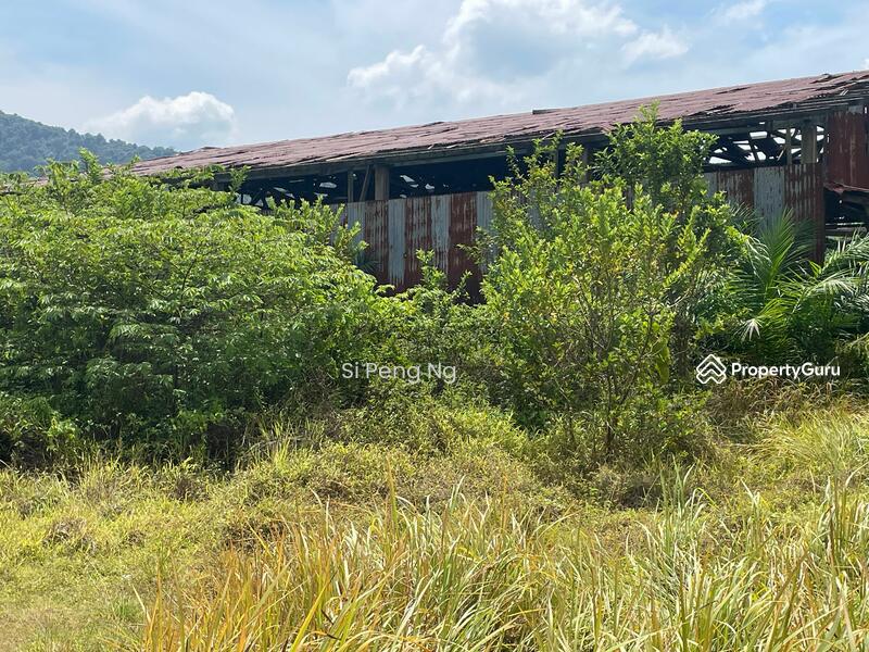 Agricultural Land for Sale in Kampung Juasseh Tengah (Juasseh) - Si Peng Ng - PropertyGuru.com.my