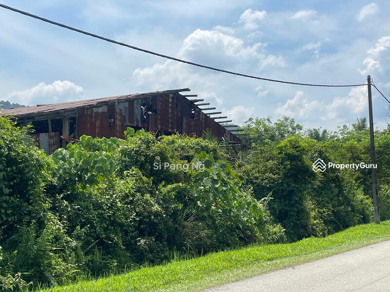 Agricultural Land for Sale in Kampung Juasseh Tengah (Juasseh) - Si Peng Ng - PropertyGuru.com.my
