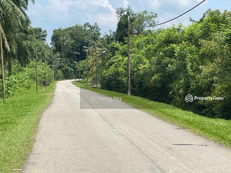 Agricultural Land for Sale in Kampung Juasseh Tengah (Juasseh) - Si Peng Ng - PropertyGuru.com.my
