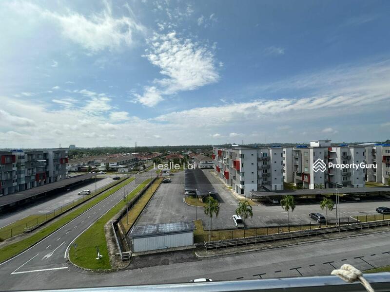 For Sale - Stutong Tiarra 2