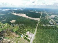 For Sale - Agricultural Land along Jln Yong Peng - Labis