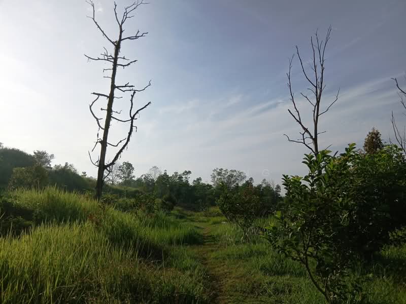 Agricultural Land for Sale in Serendah (Rawang) - Y.L. Yong - Exterior - PropertyGuru.com.my