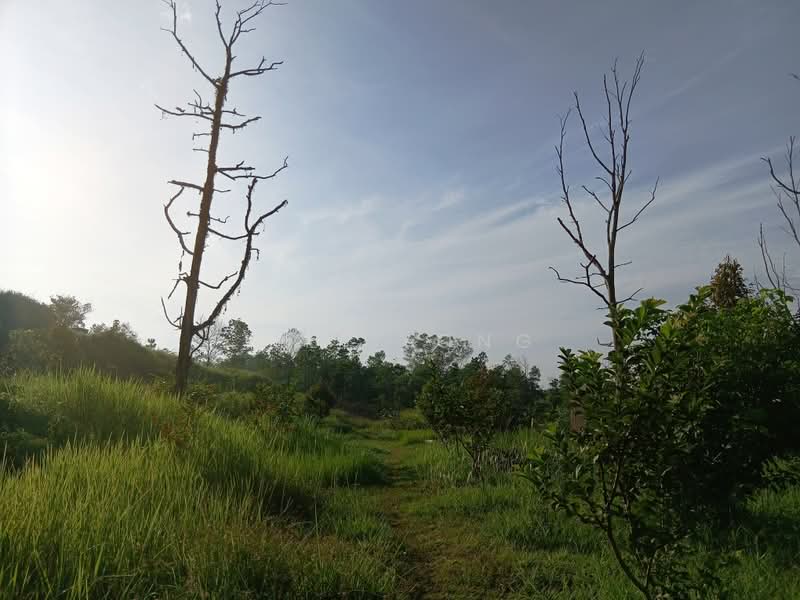 Agricultural Land for Sale in Serendah (Rawang) - Y.L. Yong - Exterior - PropertyGuru.com.my