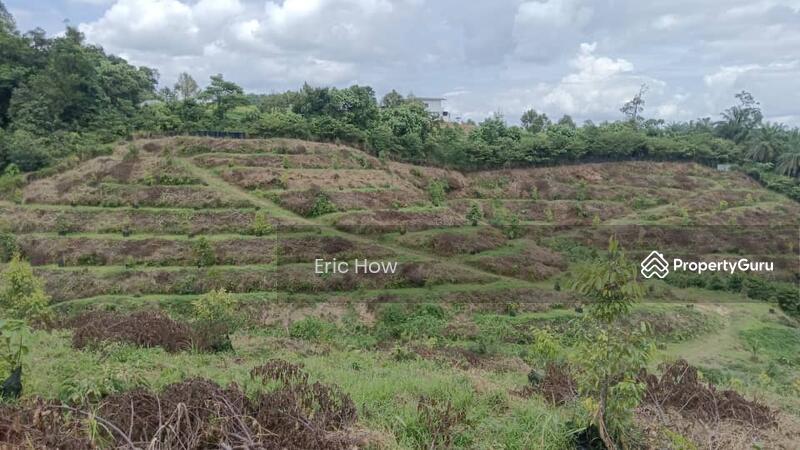 For Sale - Kampung jeruas. Raub. 27610. Pahang. Malaysia