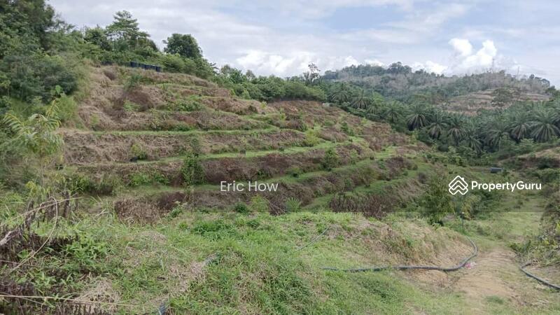 For Sale - Kampung jeruas. Raub. 27610. Pahang. Malaysia