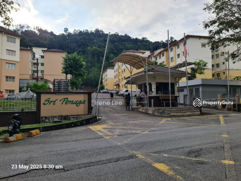 Apartment for Sale at Sri Penaga - Irene Lee - PropertyGuru.com.my