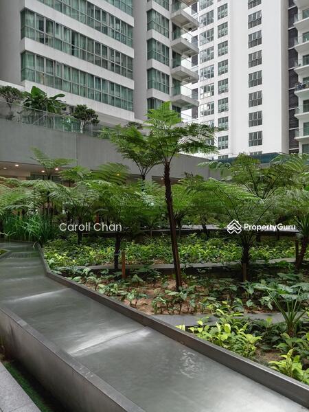 Kondominium untuk Disewa di Regalia Residence - Caroll Chan - PropertyGuru.com.my
