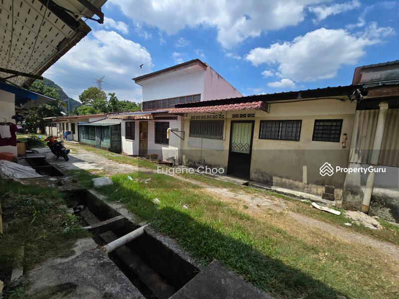 For Sale - tama selayang