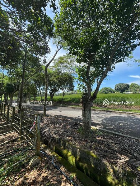 Residential Land for Sale in Leisure Farm (Gelang Patah) - Ikon Wong - PropertyGuru.com.my