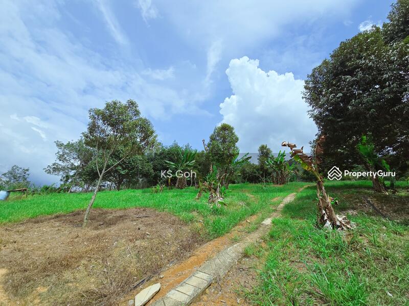 Tanah Pertanian untuk Dijual di Bandar Kuala Kangsar (Kuala Kangsar) - KS Goh - PropertyGuru.com.my