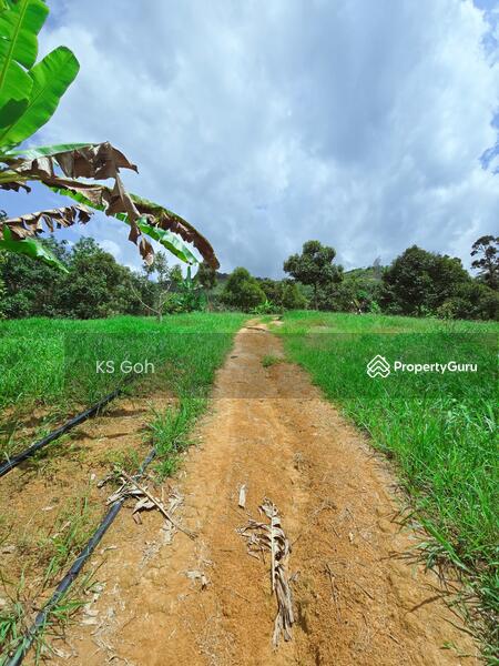 Tanah Pertanian untuk Dijual di Bandar Kuala Kangsar (Kuala Kangsar) - KS Goh - PropertyGuru.com.my