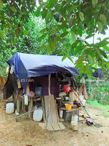 Tanah Pertanian untuk Dijual di Bandar Kuala Kangsar (Kuala Kangsar) - KS Goh - PropertyGuru.com.my