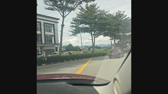 Tanah Kediaman untuk Dijual di Silibin (Ipoh) - Caiyi Choo - PropertyGuru.com.my