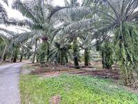 For Sale - Sitiawan Kampung Bahru