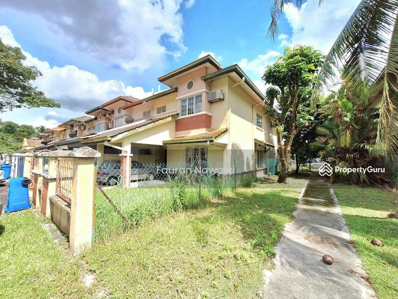 For Sale - Anggerik Doritis @ Kota Kemuning
