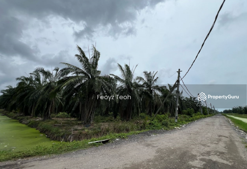 For Sale - Industrial Zone Land (s), Jalan Changkat & Byram, Nibong Tebal, Penang