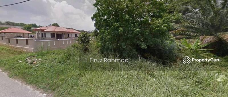 Untuk Dijual - Labu Lanjut