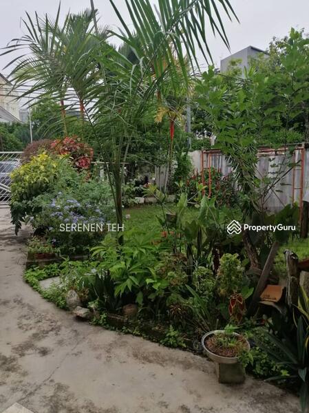 Semi-Detached House for Sale in Taman Ayer Rajah (Pulau Tikus) - SERENEN TEH - PropertyGuru.com.my