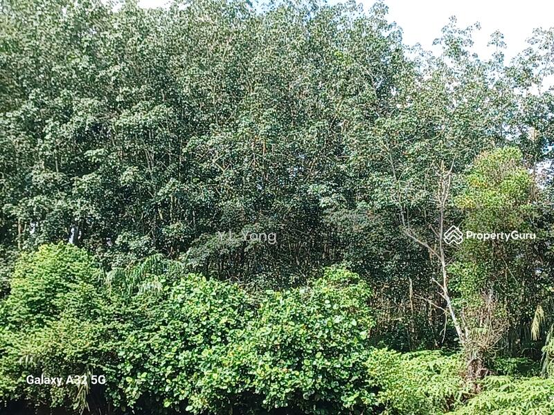 For Sale - Sepang