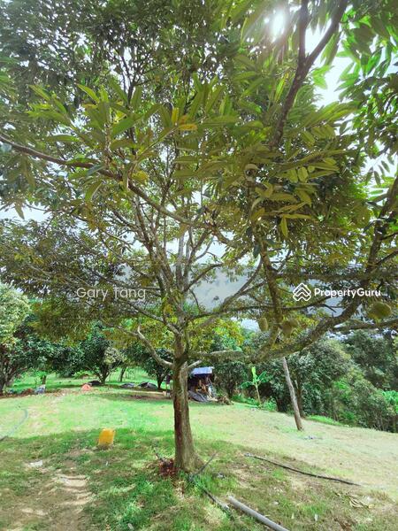 Untuk Dijual - kuala kangsar liman kati