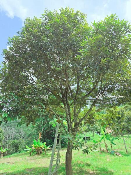 Untuk Dijual - kuala kangsar liman kati