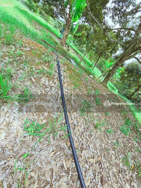 Untuk Dijual - kuala kangsar liman kati