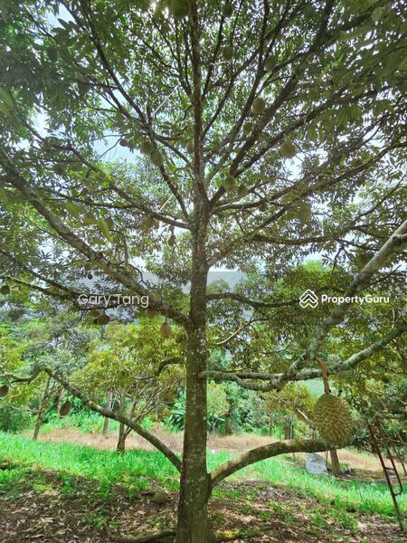 Untuk Dijual - kuala kangsar liman kati