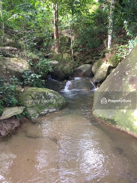 For Sale - Durian Farm In Penang Balik Pulau With Sea View