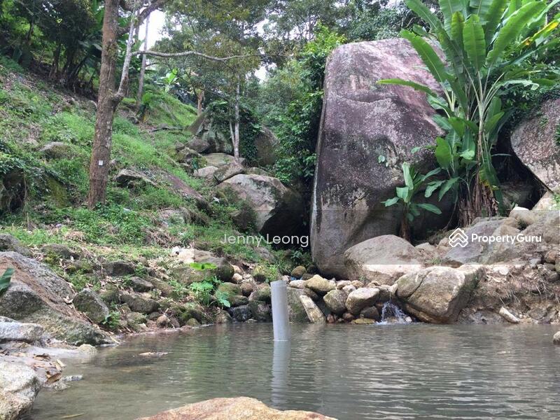 For Sale - Durian Farm In Penang Balik Pulau With Sea View