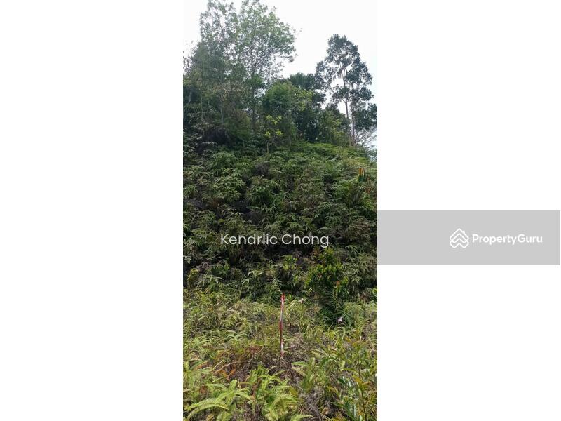 For Sale - Berjaya Hills Resort FREEHOLD BUNGALOW LAND AT BUKIT TINGGI NEAR GENTING HIGHLANDS