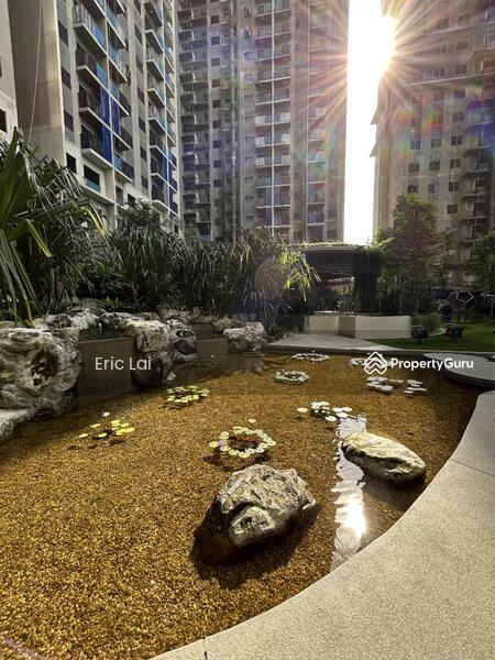 Untuk Disewa - One Equine