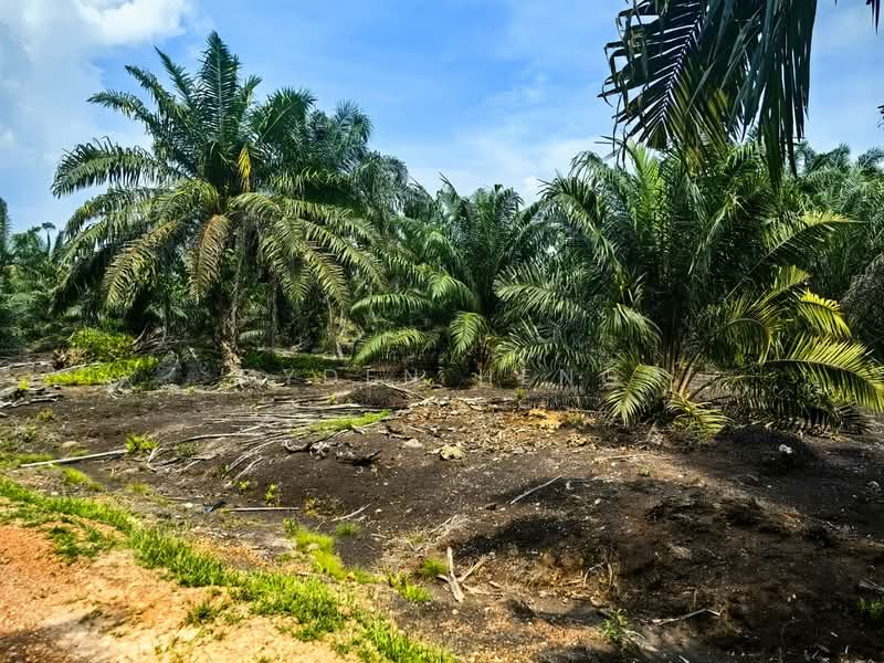 For Sale - Ayer Baloi