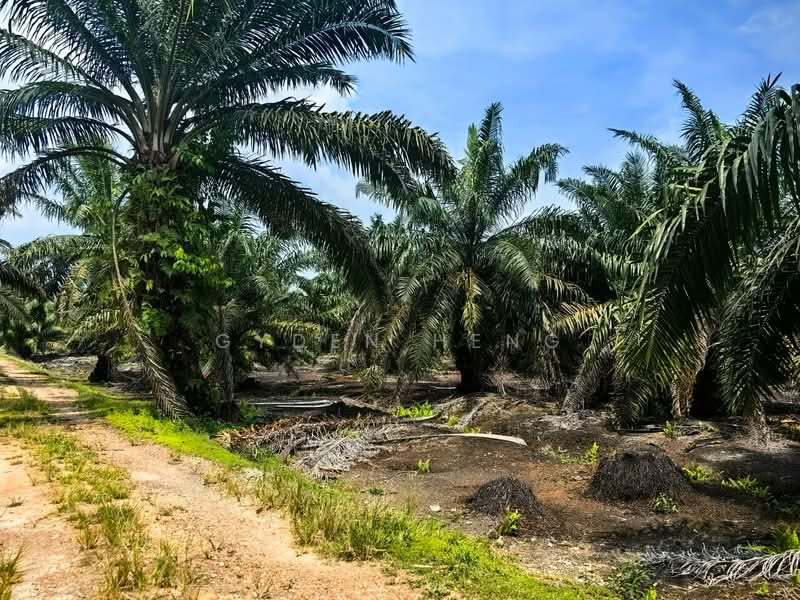 For Sale - Ayer Baloi