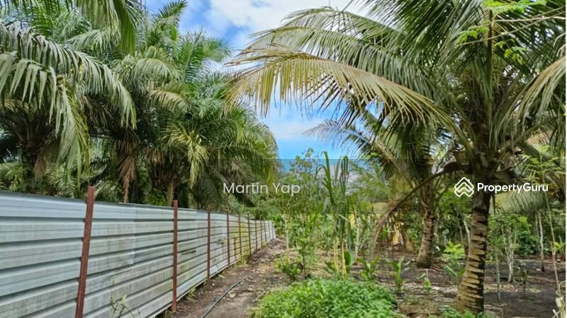For Sale - Pontian Agricultural Land