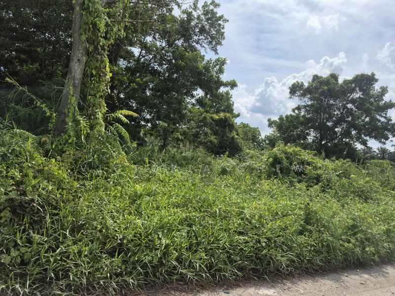 Agricultural Land for Rent in Kampung Johan Setia (Klang) - Victoria Chew - Exterior - PropertyGuru.com.my