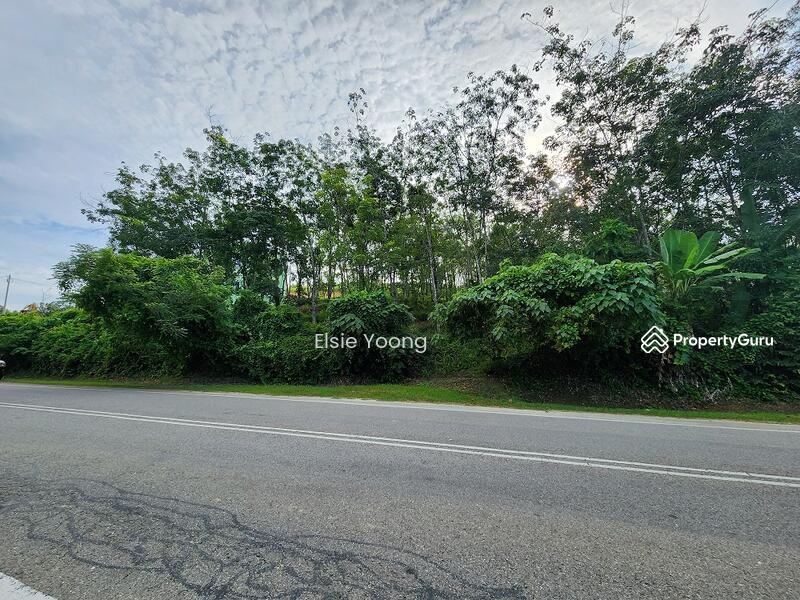 Agricultural Land for Sale in Kampung Pulai (Gua Musang) - Elsie Yoong - PropertyGuru.com.my