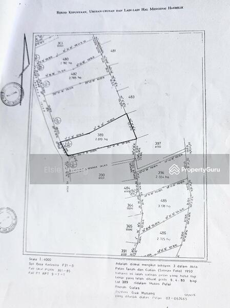 Agricultural Land for Sale in Kampung Pulai (Gua Musang) - Elsie Yoong - PropertyGuru.com.my