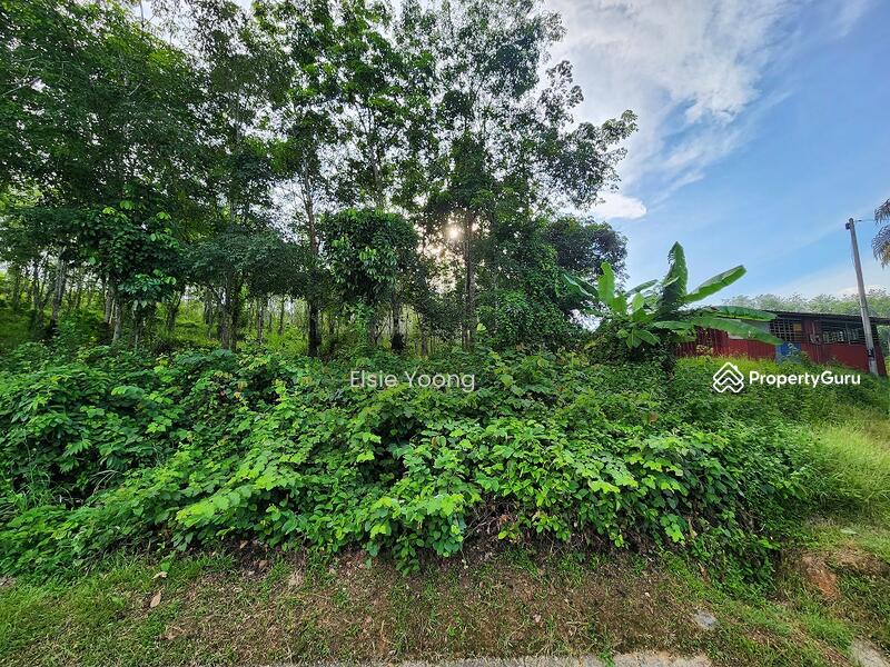 Agricultural Land for Sale in Kampung Pulai (Gua Musang) - Elsie Yoong - PropertyGuru.com.my