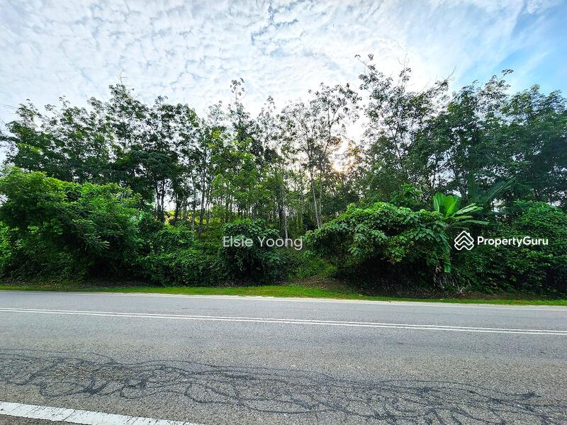 Agricultural Land for Sale in Kampung Pulai (Gua Musang) - Elsie Yoong - PropertyGuru.com.my
