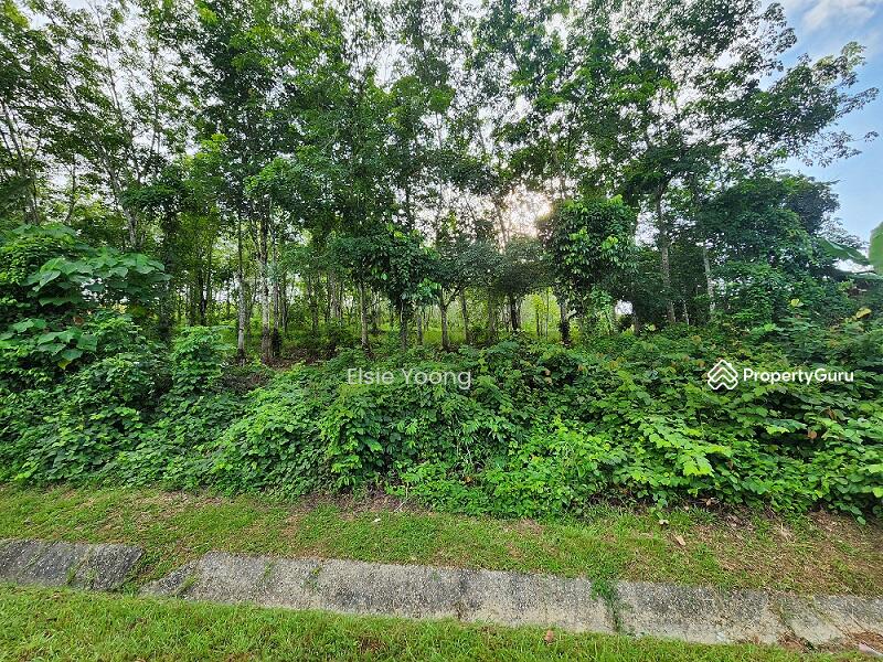 Agricultural Land for Sale in Kampung Pulai (Gua Musang) - Elsie Yoong - PropertyGuru.com.my